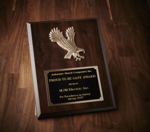 2007 Anheuser-Busch Safe Award